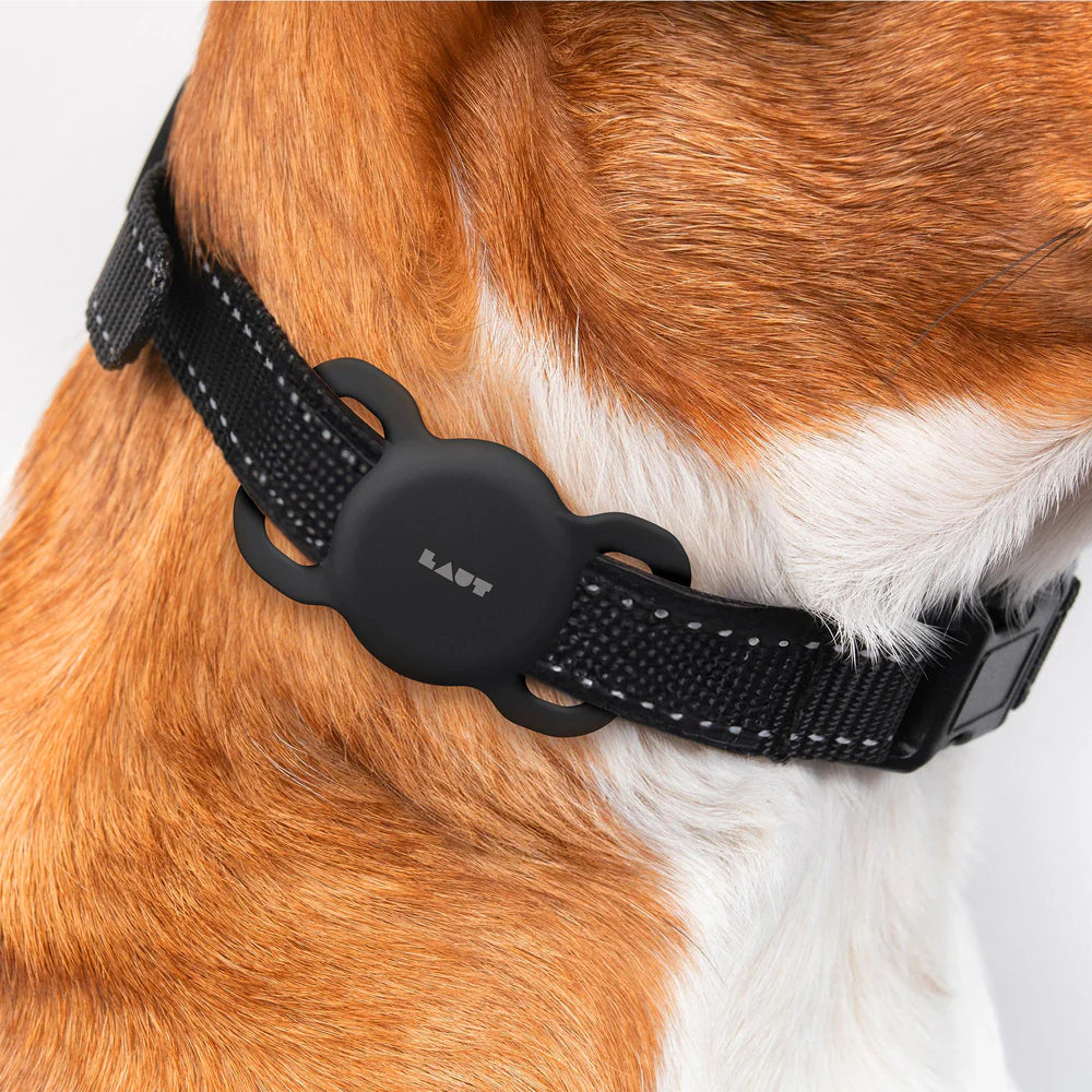 Laut Pet Tag AirTag Halter Black