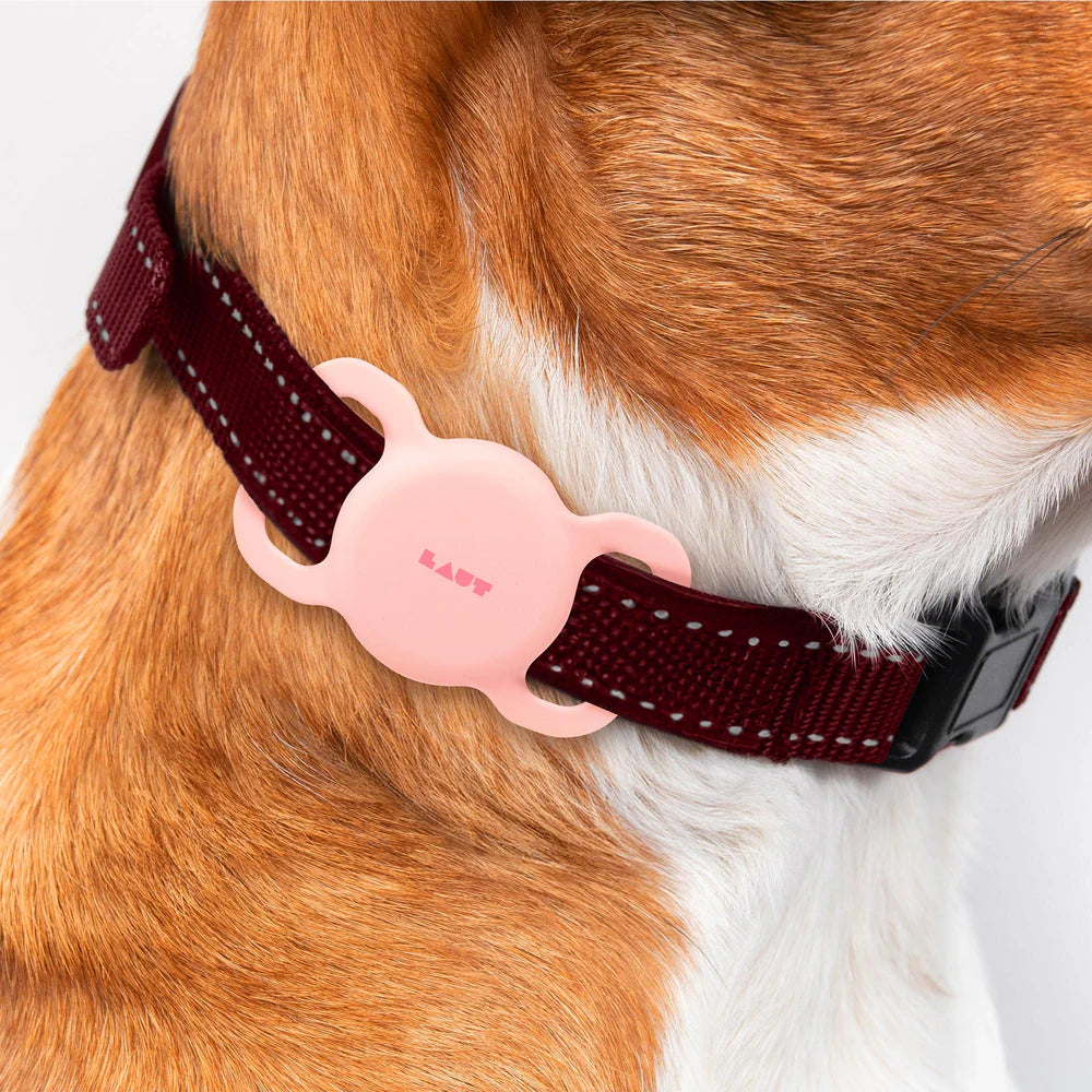 Laut Pet Tag AirTag Halter Pink