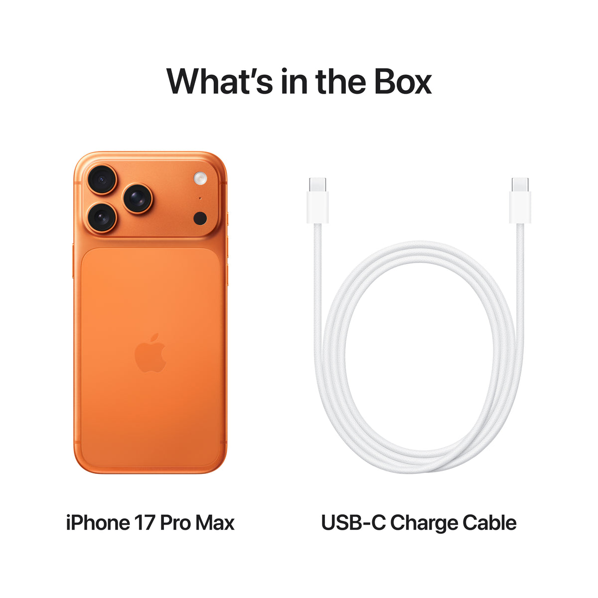 DEMO Apple iPhone 17 Pro Max