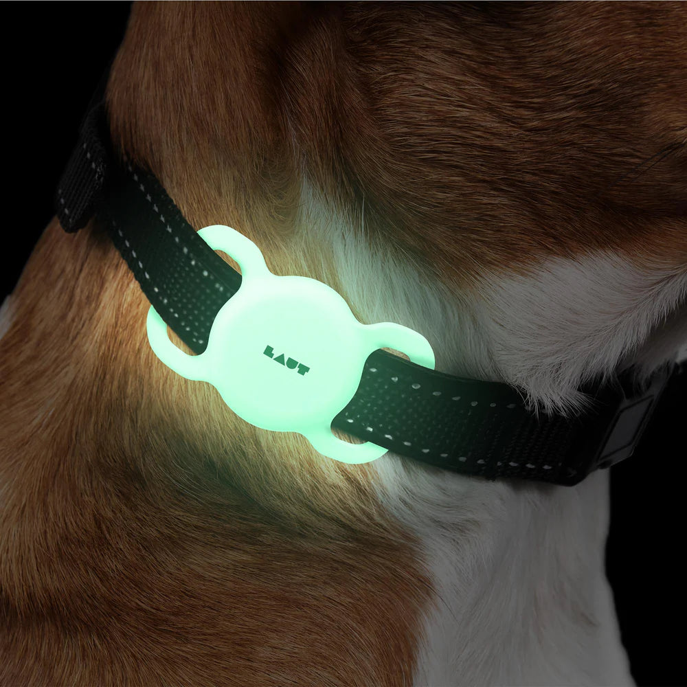Laut Pet Tag AirTag Halter Glow in the Dark